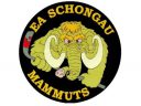 Logo EA Schongau Mammuts